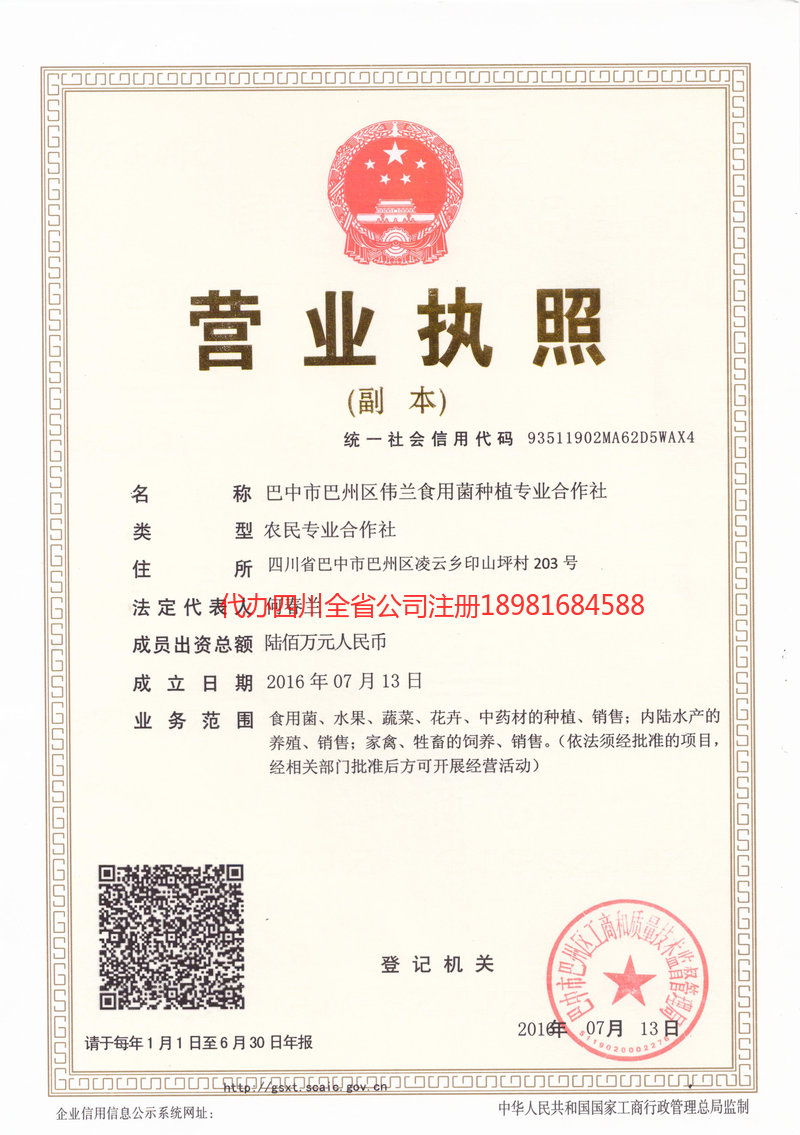 儋州儋州伟兰食用菌种植专业合作社