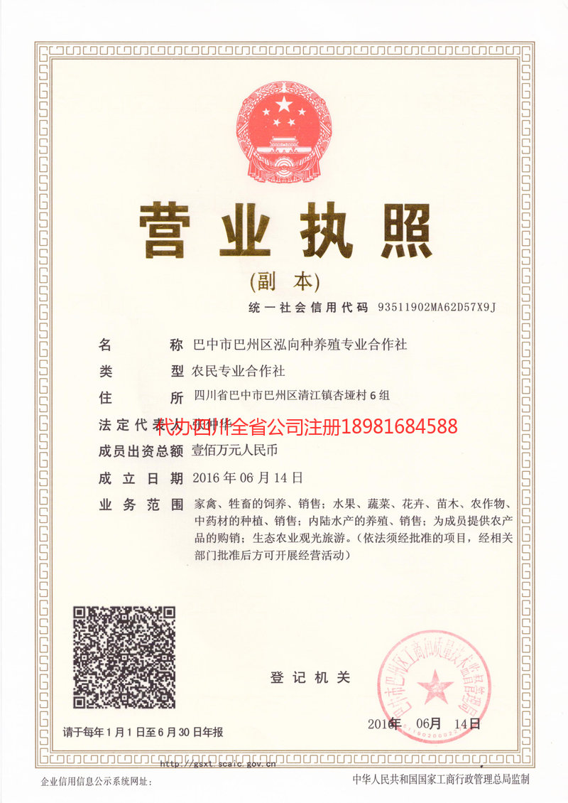 儋州儋州泓向种养殖专业合作社